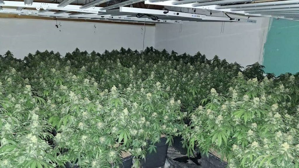 Policija, ilustracija