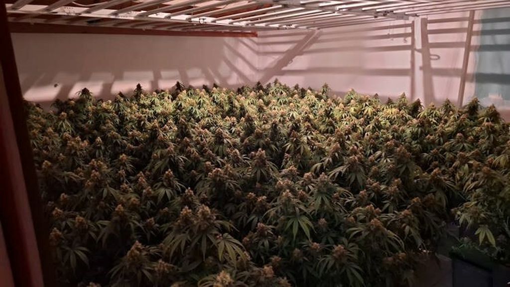 Policija, ilustracija