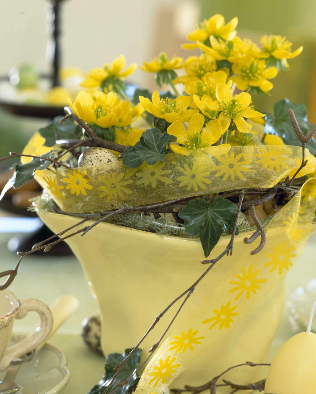 Rana ozimnica je trajnica idealna za romantične vrtove - 2