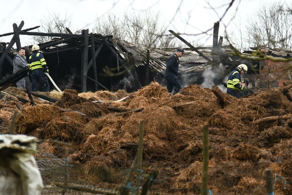 U Ivanovom Selu izgorio OPG - 1