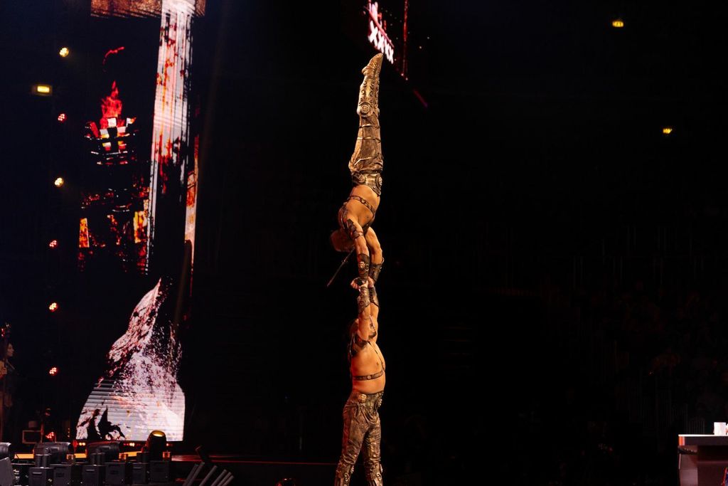 Vardanyan Brothers, finale Supertalenta - 4