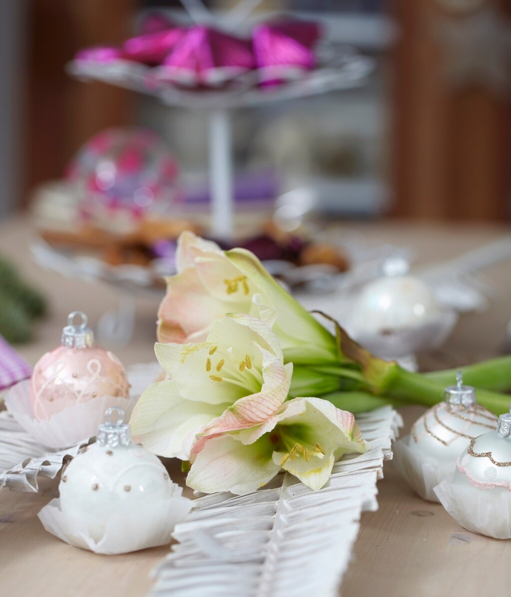 Bijelo cvijeće u božićnim dekoracijama