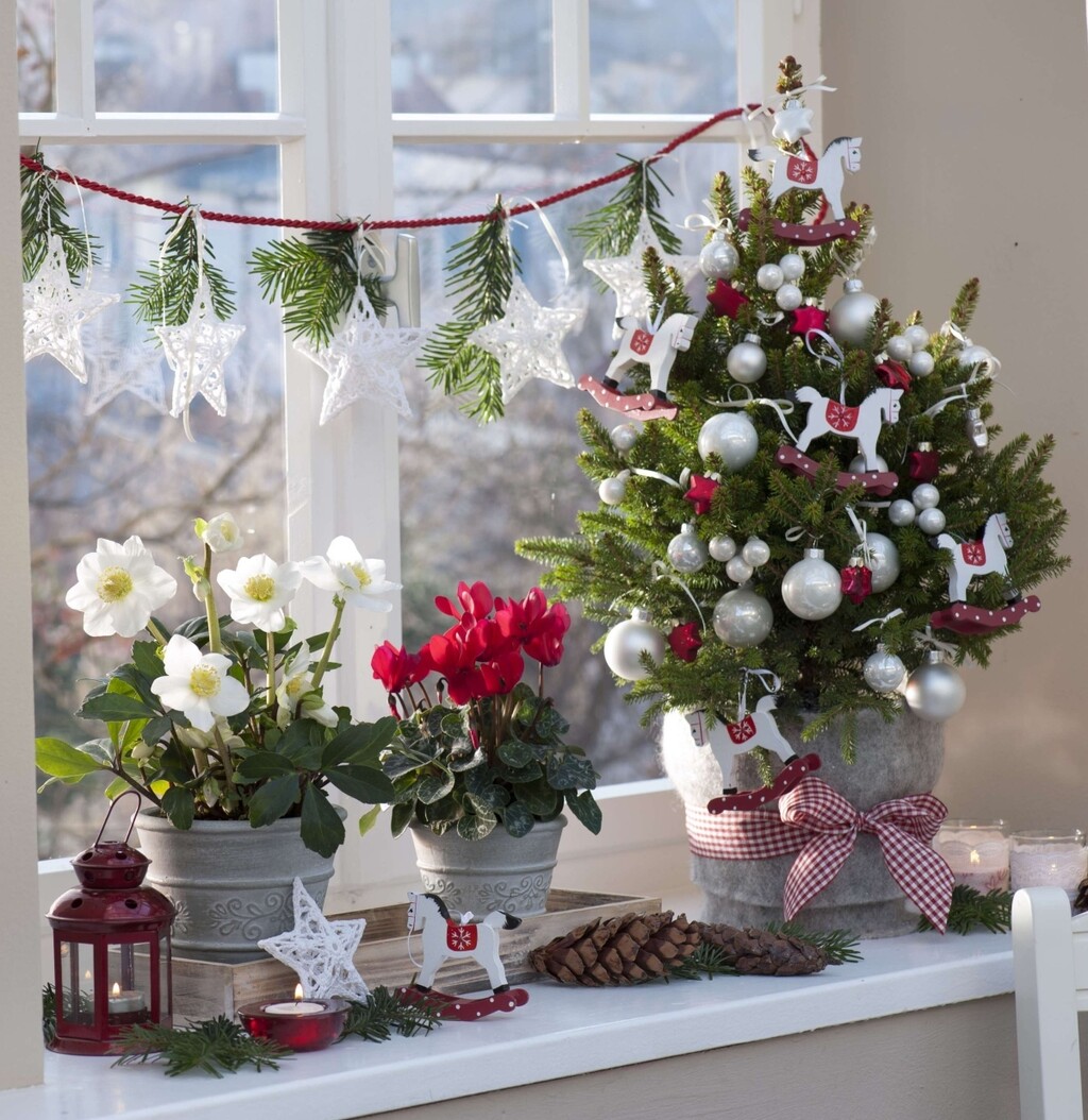 Bijelo cvijeće u božićnim dekoracijama