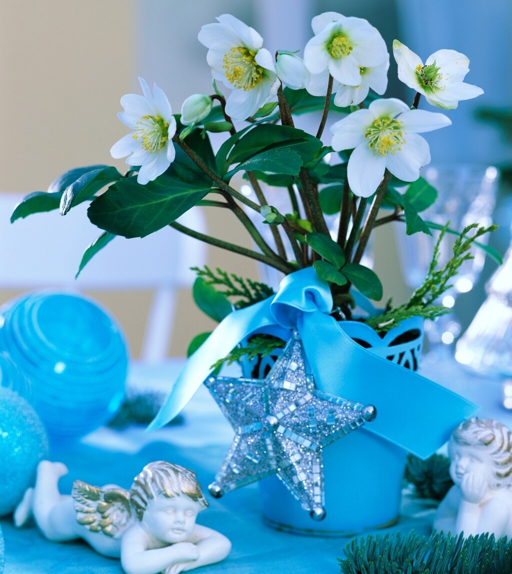 Bijelo cvijeće u božićnim dekoracijama