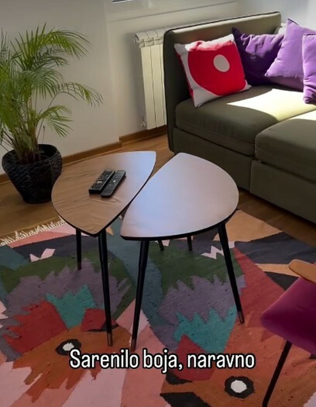 Stan Ide Prester u Beogradu