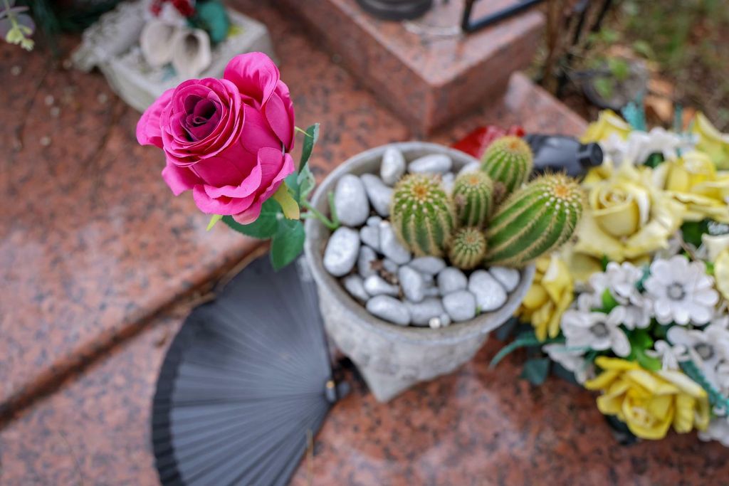 Grob Massima Savića - 2