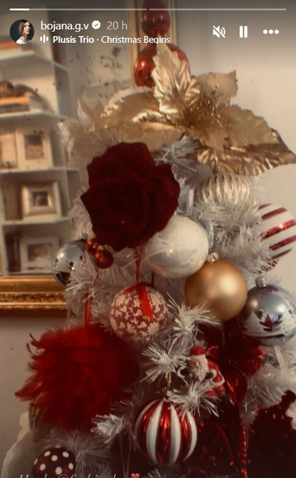 Bojana Gregorić Vejzović na Instagramu