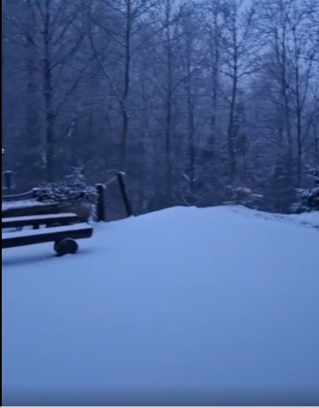 Snijeg na Medvednici - 1