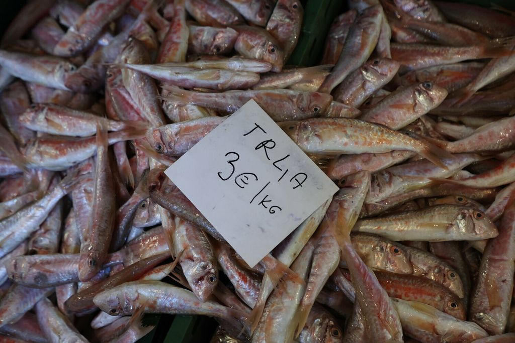 Ponuda u splitskoj ribarnici na Badnjak - 9