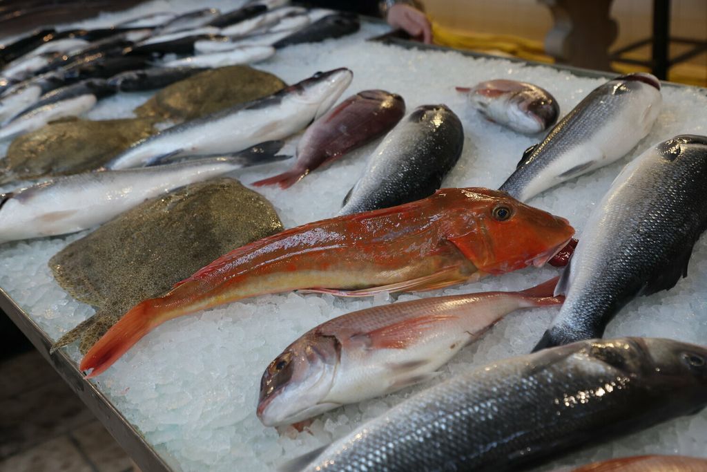 Ponuda u splitskoj ribarnici na Badnjak - 9
