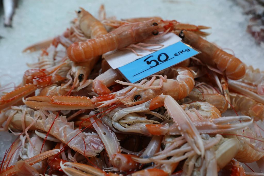 Ponuda u splitskoj ribarnici na Badnjak - 9