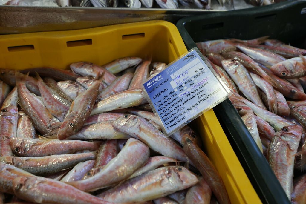 Ponuda u splitskoj ribarnici na Badnjak - 9