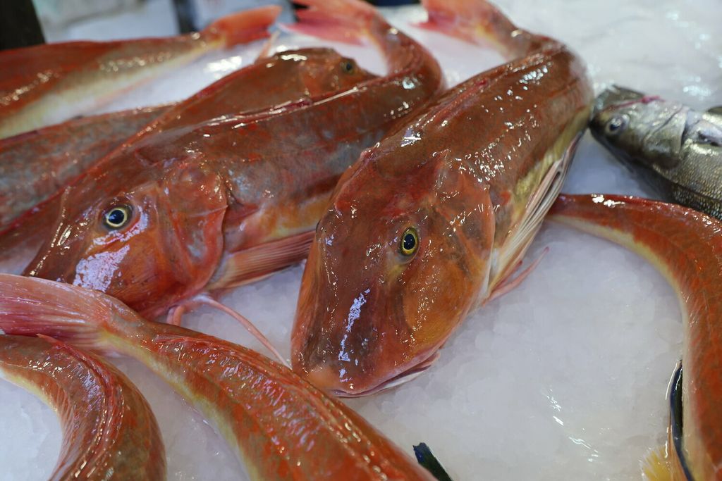 Ponuda u splitskoj ribarnici na Badnjak - 9