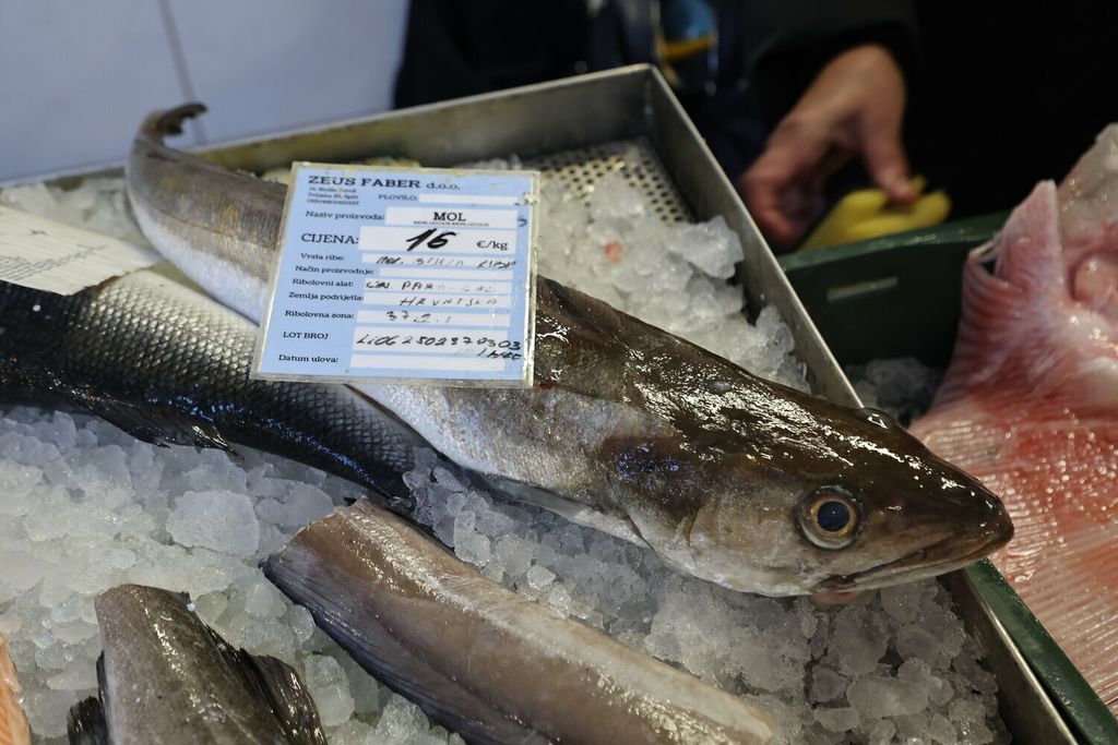 Ponuda u splitskoj ribarnici na Badnjak - 9