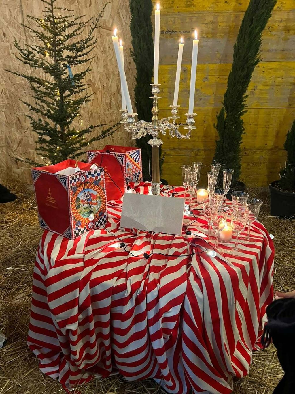 Severina, Ana Vučković