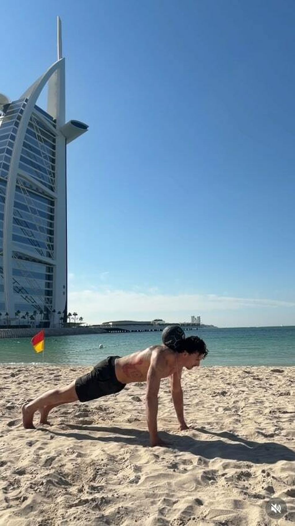 Zlatan Ibrahimović - 2