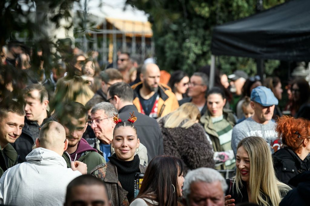 Badnjak, Šibenik - 12