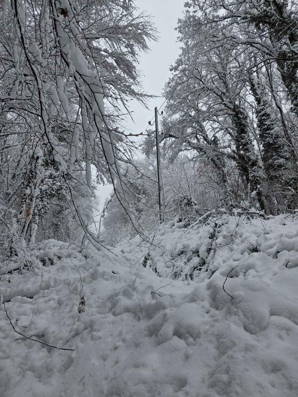 Općina Bednja, intervencija vatrogasaca