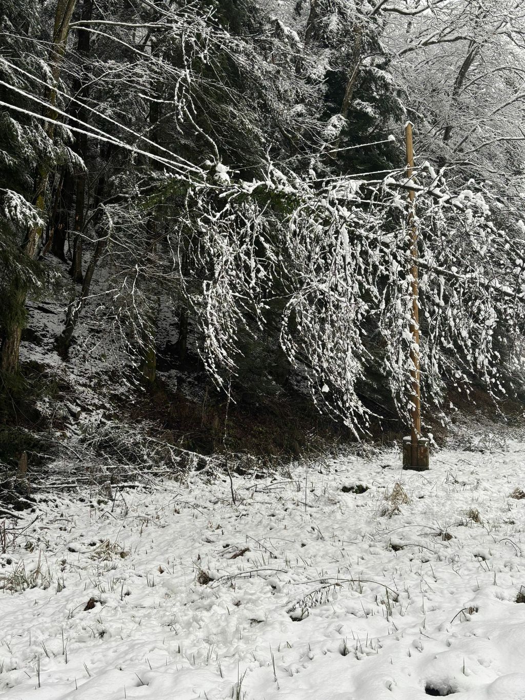 Općina Bednja, intervencija vatrogasaca