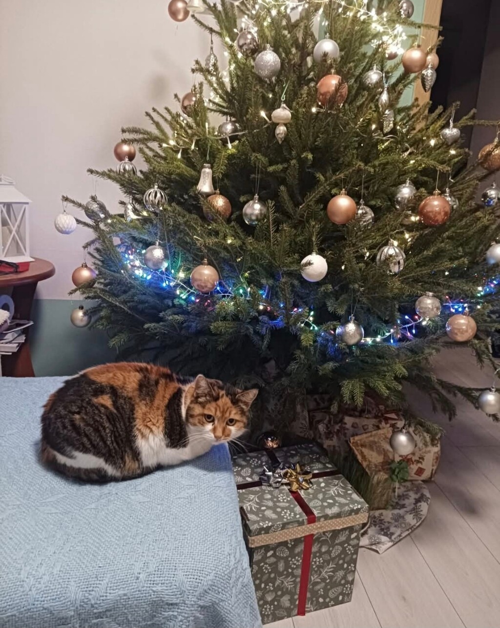 Martina Vidrač / Zadovoljna.hr