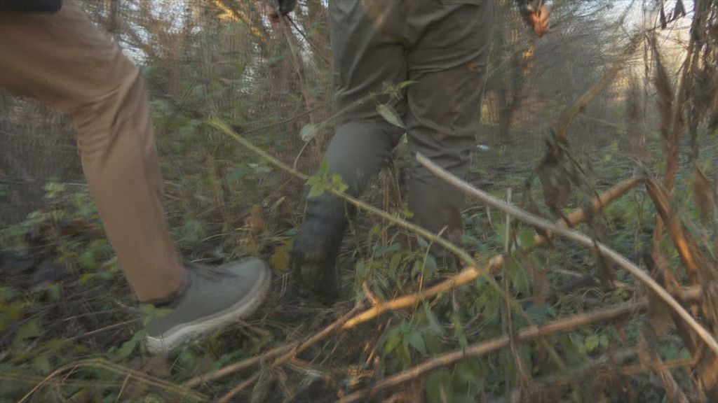 Alen Tubić, Nenad Periškić