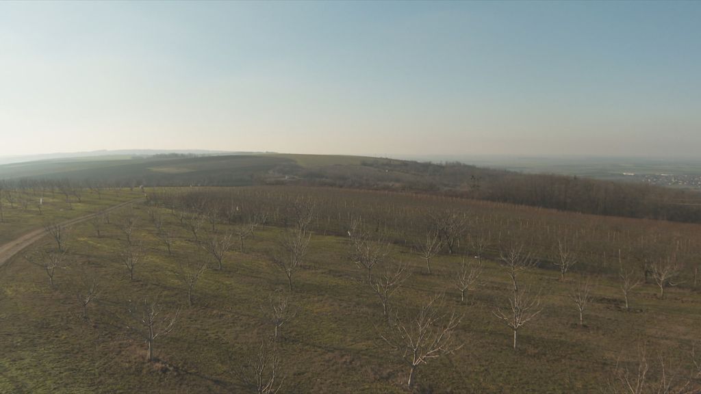 Potraga za izgubljenim dječakom - 2