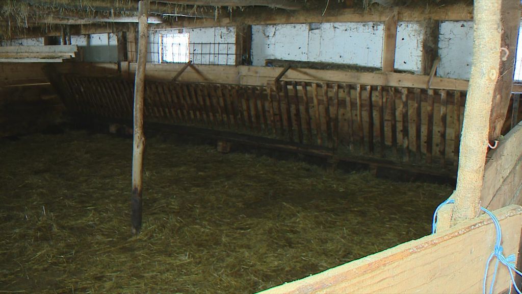 Stočar Nikola Surla