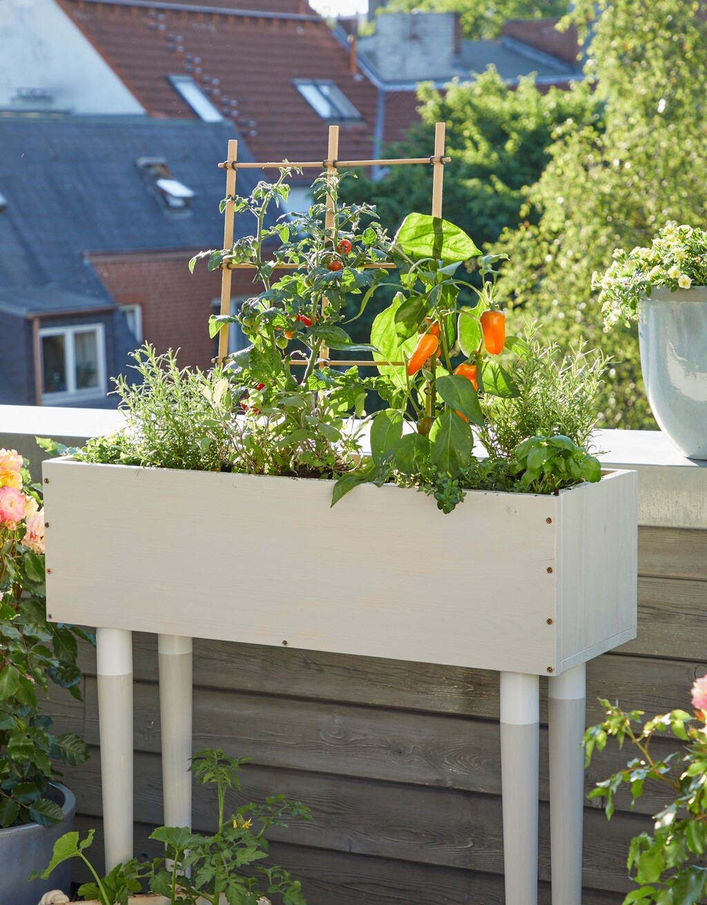 Moguće je stvoriti mali održivi vrt usred balkona