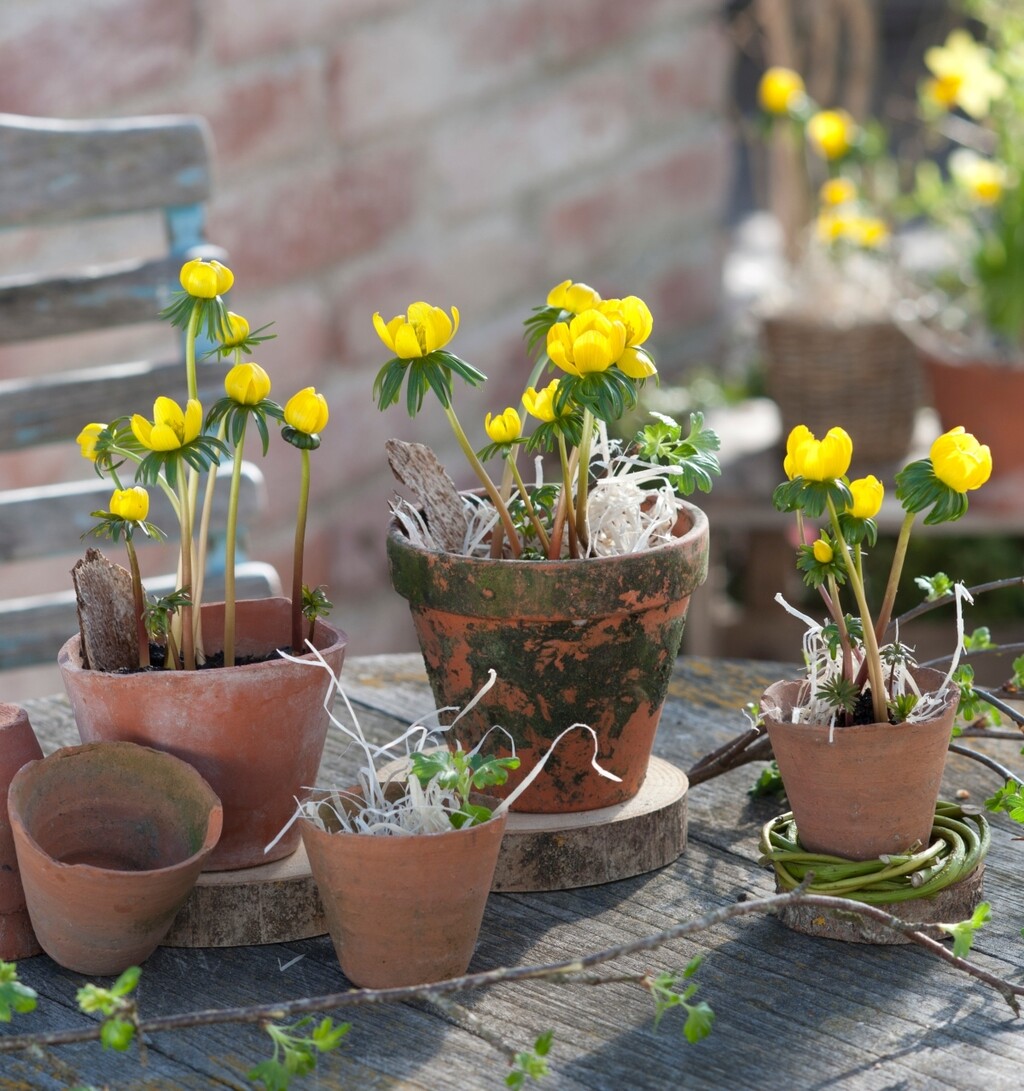 Posude od prirodne gline unose toplinu i harmoničan osjećaj