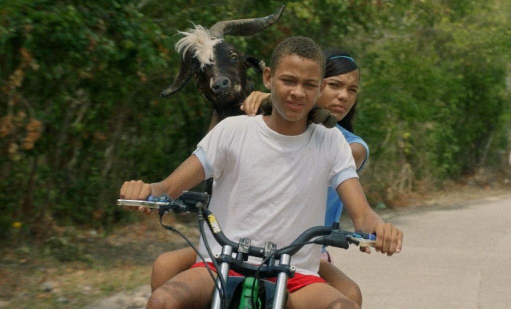 Koza nesrećonoša(Foto: KinoKino)