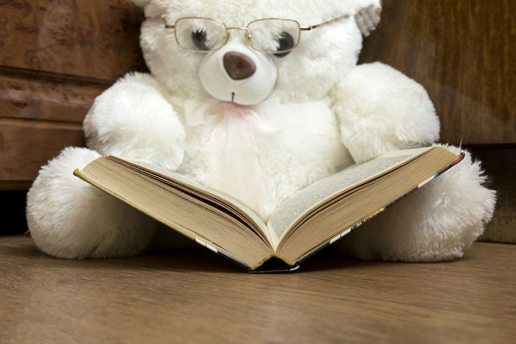 Plišani medvjedić čita knjigu