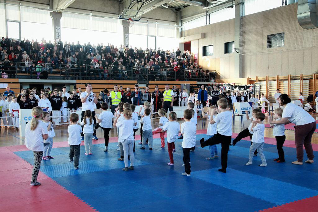Karate turnir u Ivanić-Gradu (FOTO:PR)