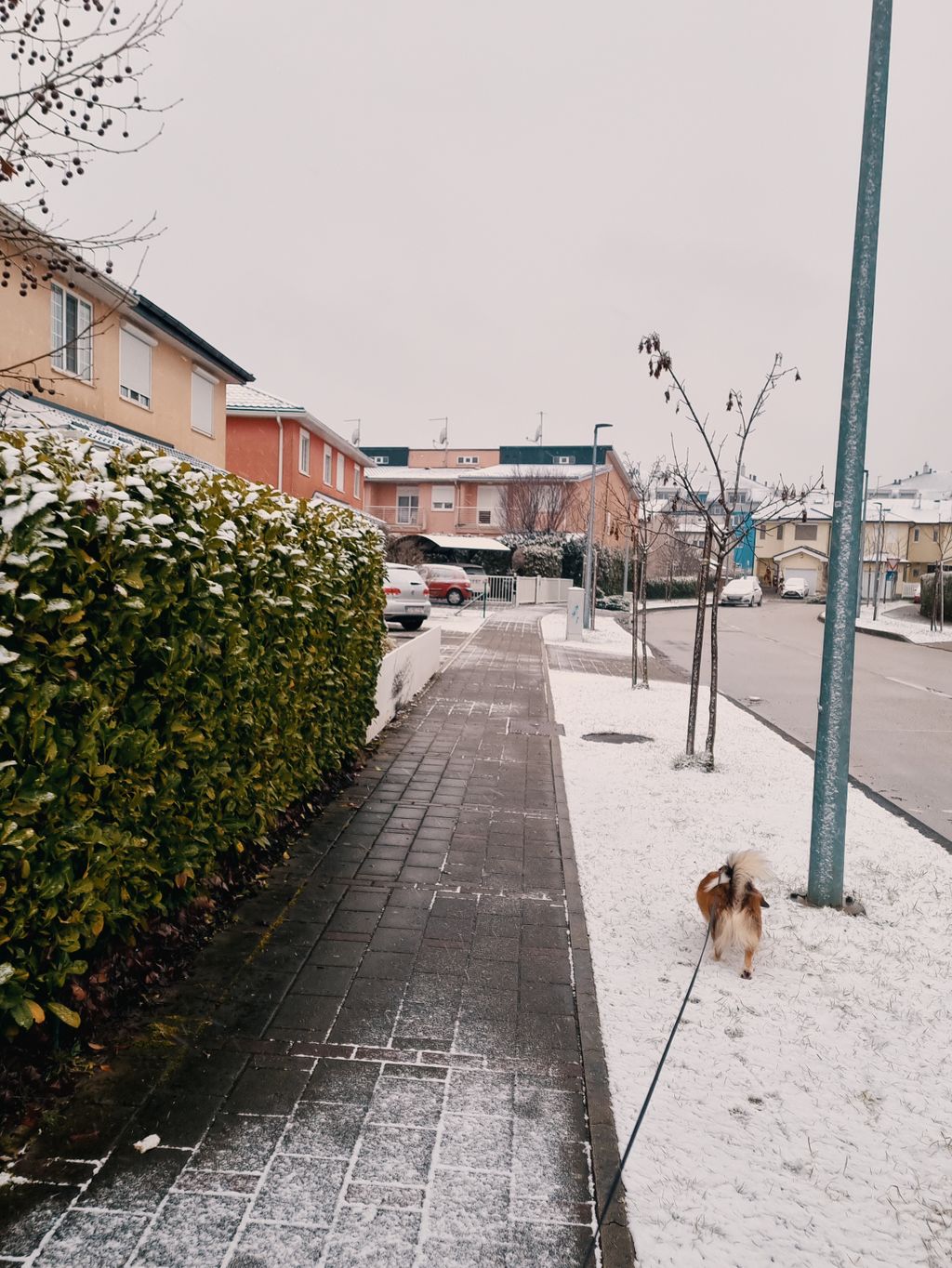 Samsung Galaxy S21 5G - 5