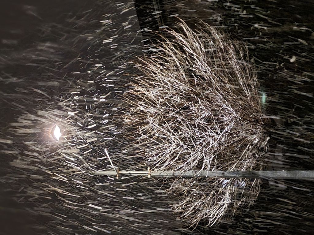 Samsung Galaxy S21 5G - 5