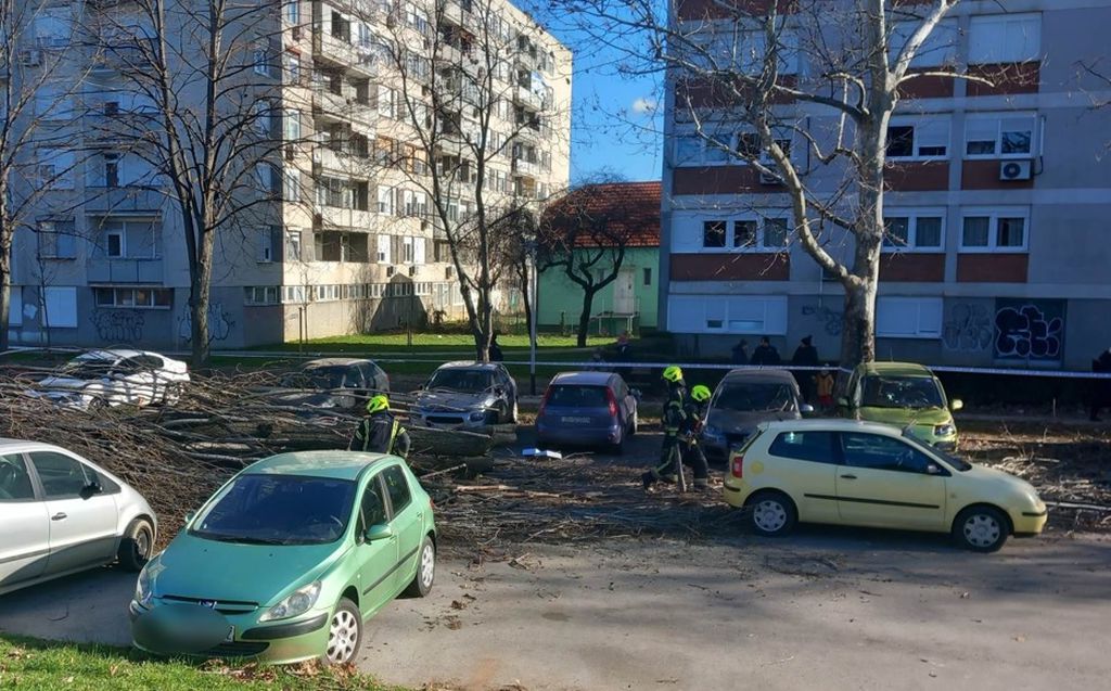 Uništeni automobili nakon pada stabla zbog jakog vjetra u Labinskoj ulici