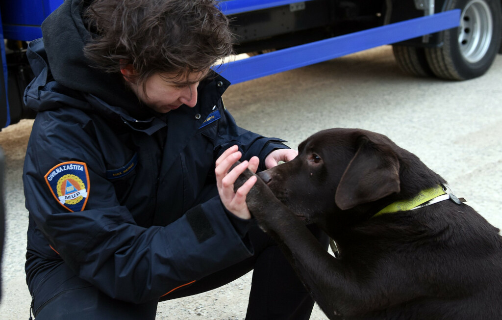 Devetogodišnji pas Gizmo i njegova trenerica Nika Markoč otišli su u potresom pogođeni turski grad Gaziantep - 4