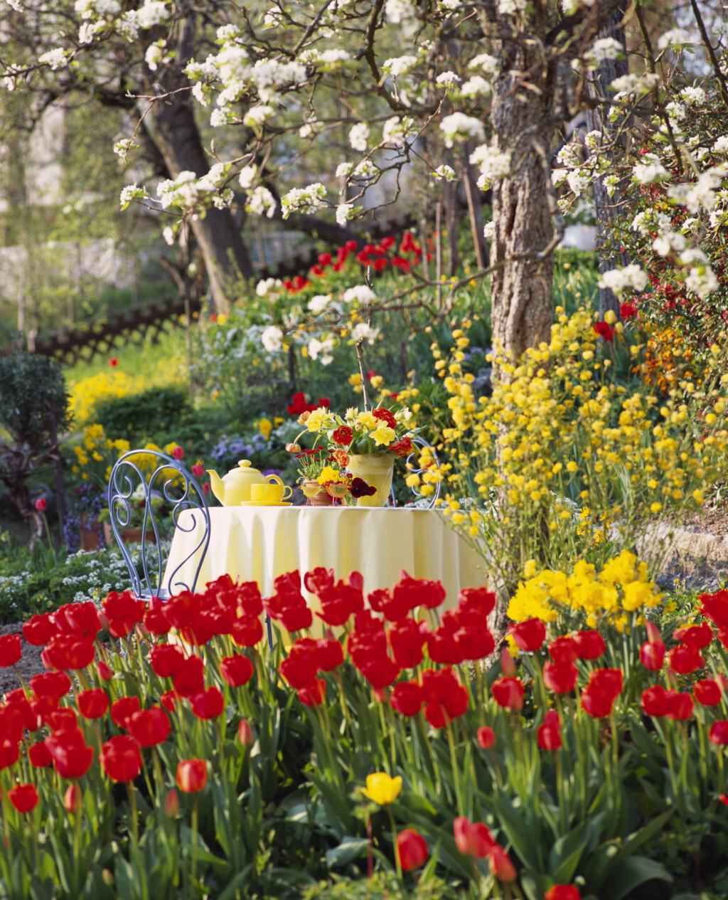 Vrtovi u kojima bi se ljubitelji tulipana osjećali kao u raju - 4
