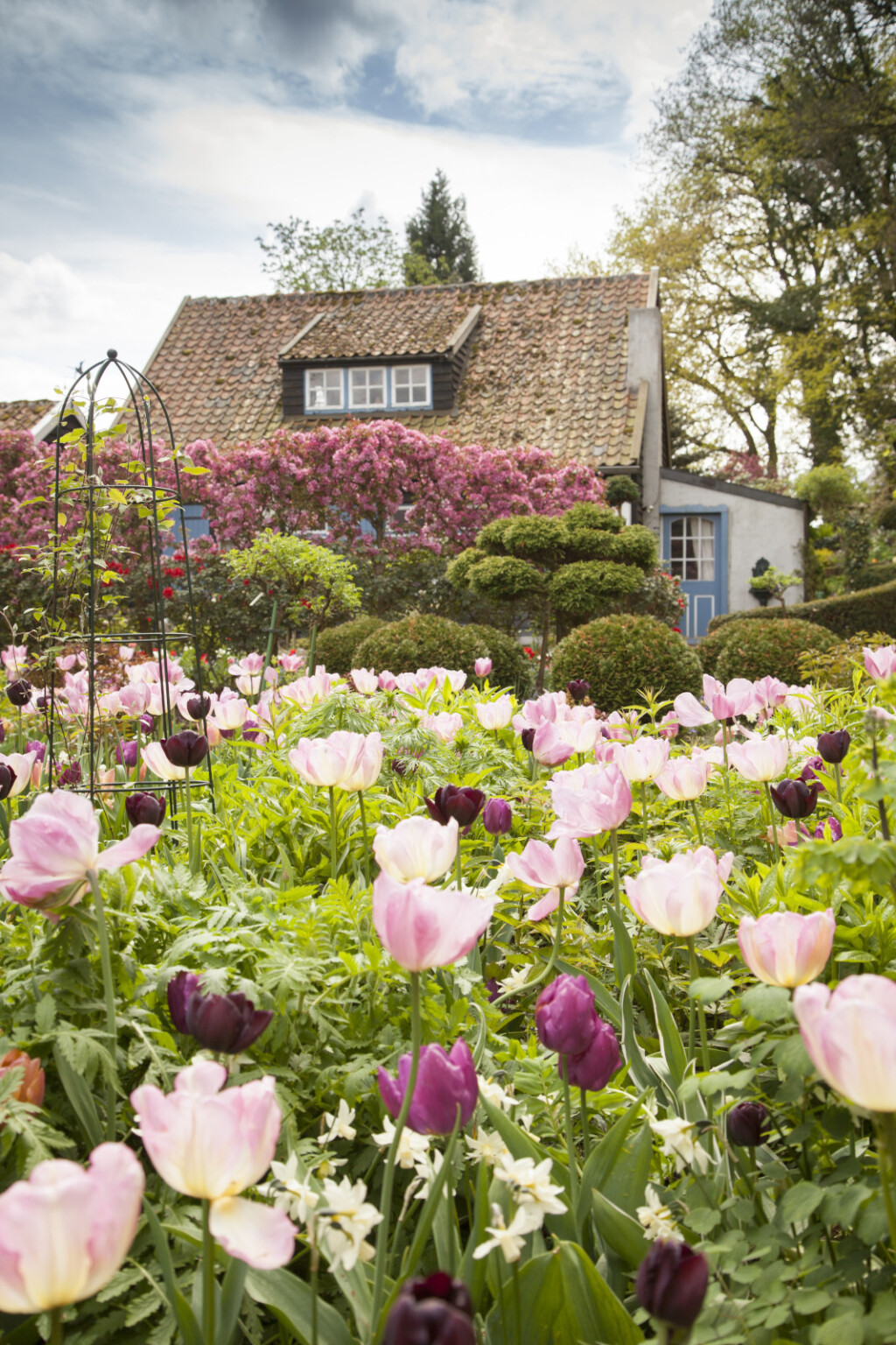 Vrtovi u kojima bi se ljubitelji tulipana osjećali kao u raju - 7