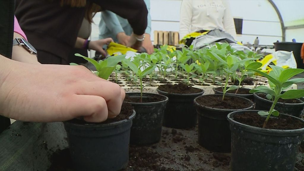 Vrijedne ruke učenika