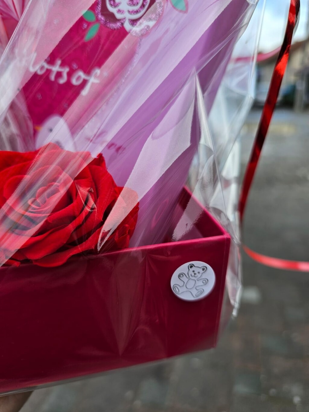 Cvjećarnica Maja Ćuk pomaže ličkim medvjedićima