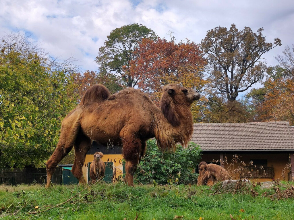 Tijekom drugog dijela zimskih školskih praznika održava se uzbudljiva Zoo avantura - 3