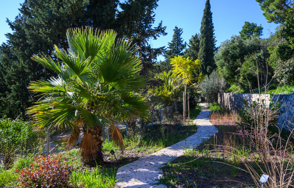 Botanički vrt u Park-šumi Marjan spreman je za otvaranje - 9