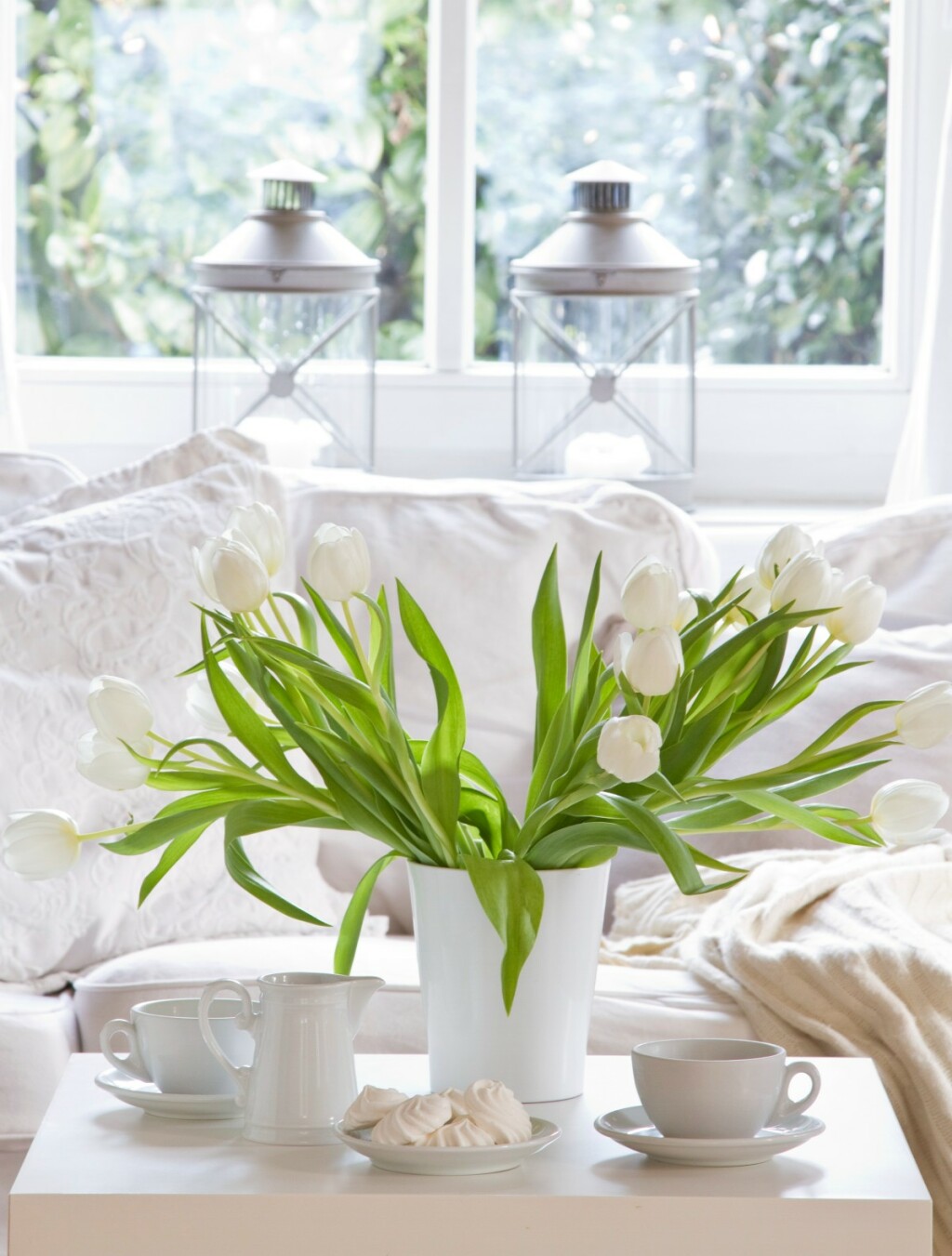 Tulipani su predivan ukras doma