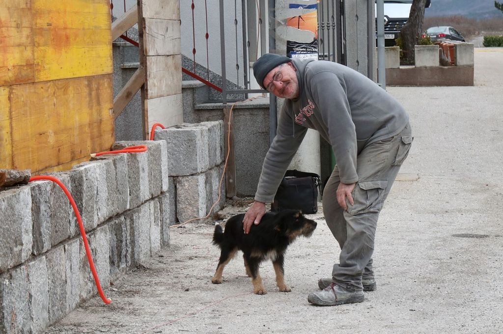 Pas Bruno i dalje čeka preminulog vlasnika na groblju - 2