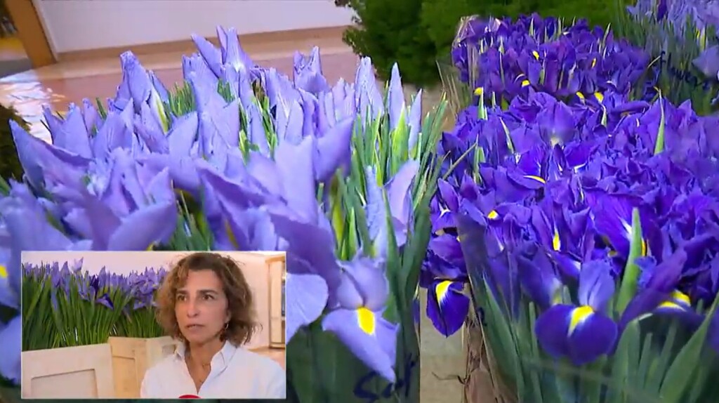 Arhitektica i floristica Boška Bahtijarević