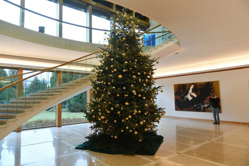 Plave stepenice u Predsjedničkim dvorima