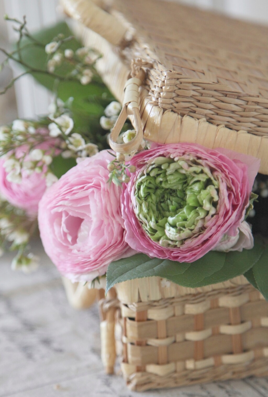 Ranunkula je cvijet godine