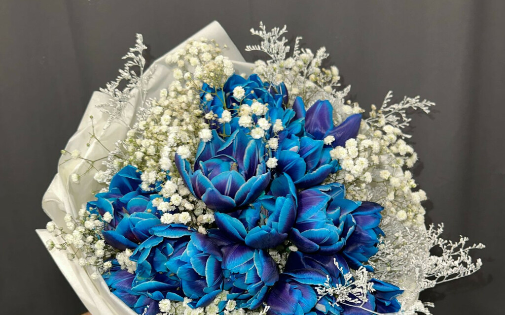 Željko Alar u svojoj cvjećarnici u Velikoj Gorici ima plave tulipane