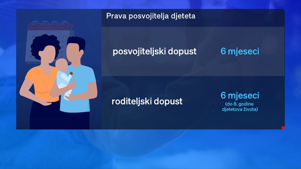 Prava posvojitelja - 3