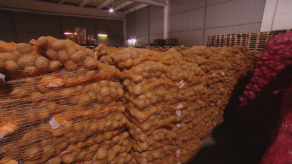 Zabilježen pad proizvodnje krumpira - 1